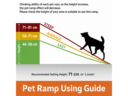 Dog Ramp