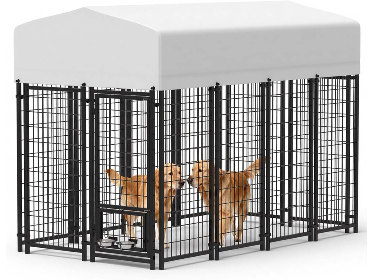 Outdoor Dog Run with Shade Sail