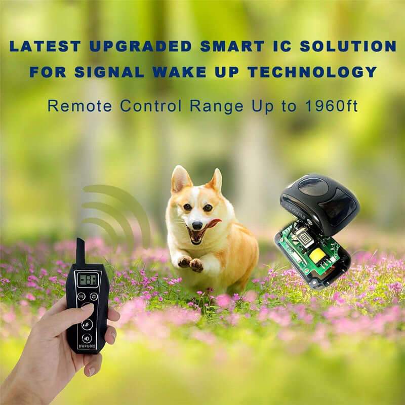 Dog Training Collar - The Shopsite