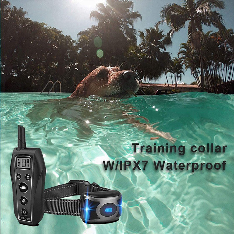 Dog Training Collar - The Shopsite