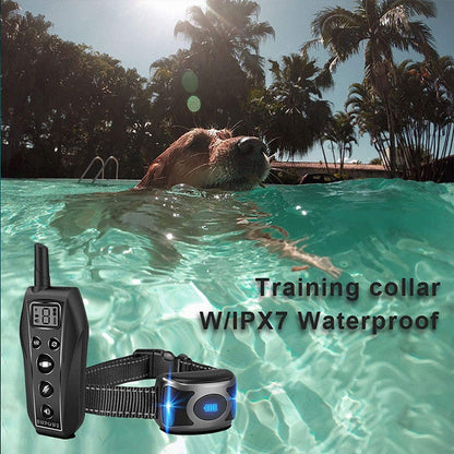 Dog Training Collar - The Shopsite