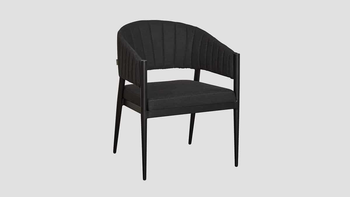 TAKAPUNA DINING CHAIR