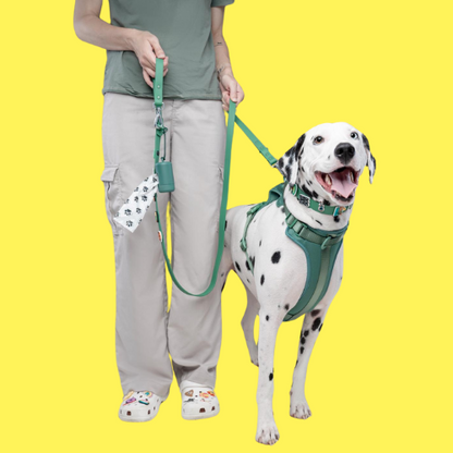 Waterproof Customisable Dog Lead | Green