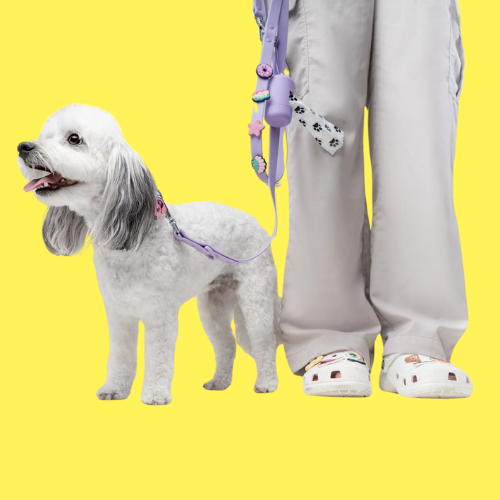 Waterproof Customisable Dog Lead | Lilac
