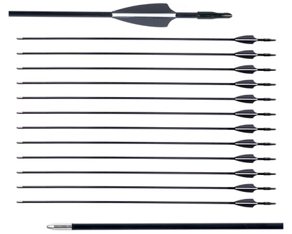 Hunting Archery Arrows (12 Arrows)
