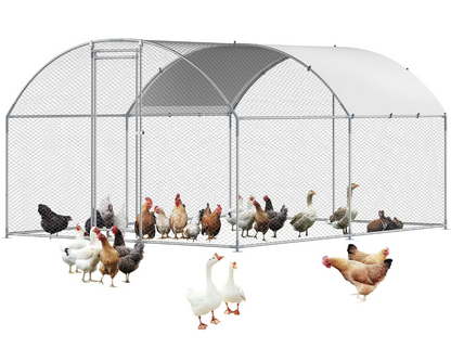 Outdoor Chicken Coop