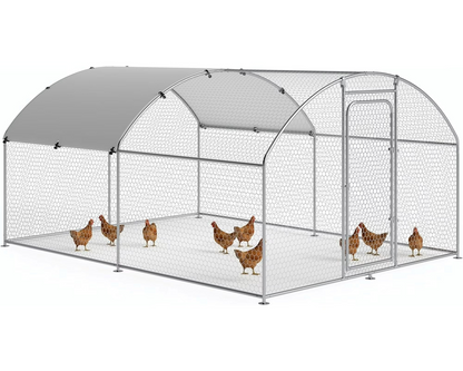 Outdoor Chicken Coop