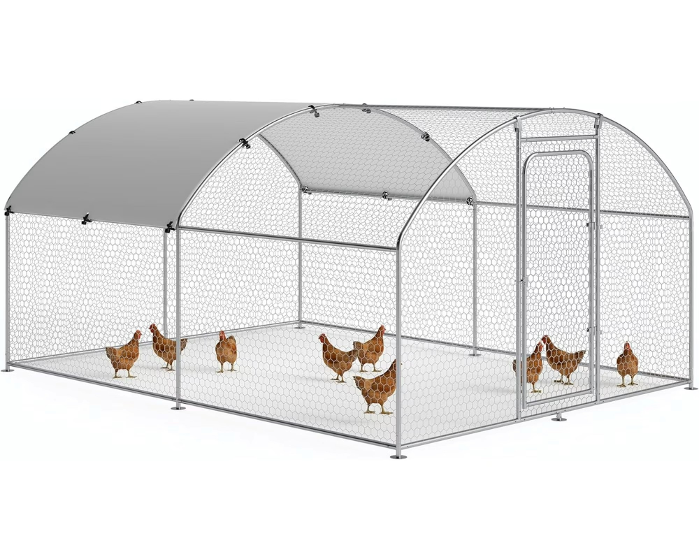 Outdoor Chicken Coop
