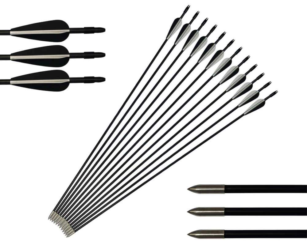 Hunting Archery Arrows (12 Arrows)