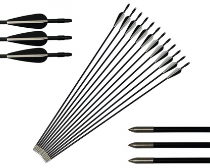 Hunting Archery Arrows (12 Arrows)