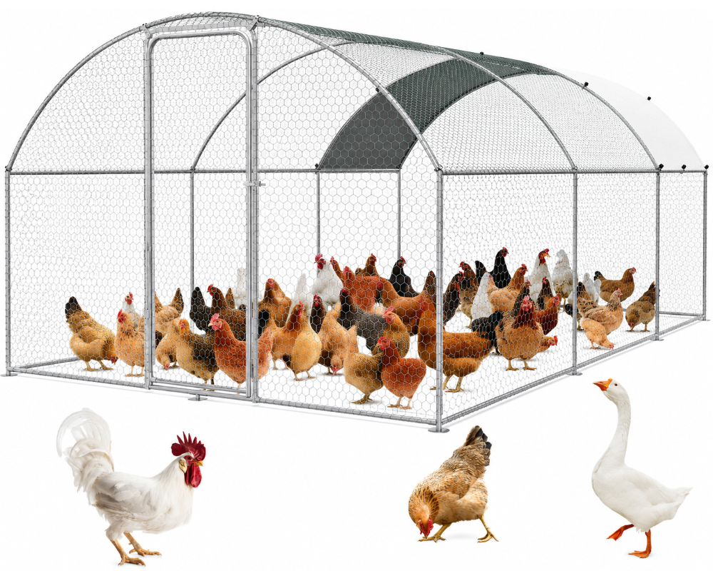 Chicken Coop Run 6m × 3m × 2m