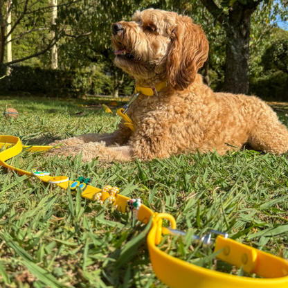 Waterproof Customisable Dog Lead | Yellow