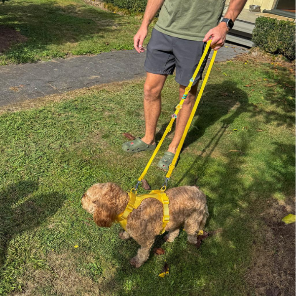Waterproof Customisable Dog Lead | Yellow