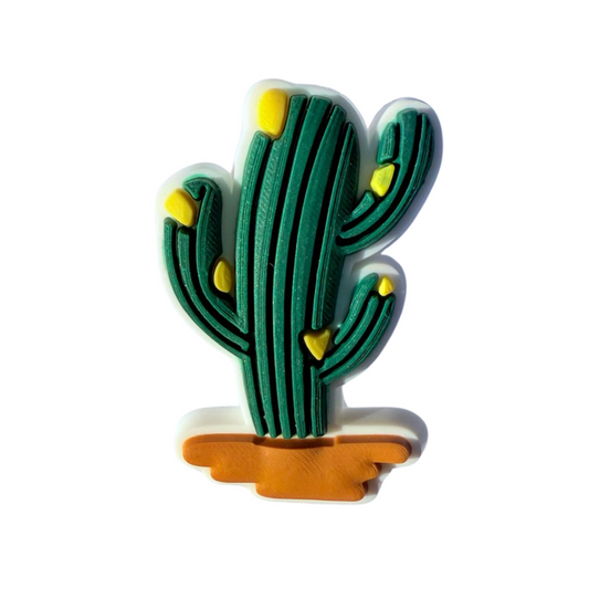 Cactus Charm