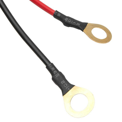 wiring harness with switch