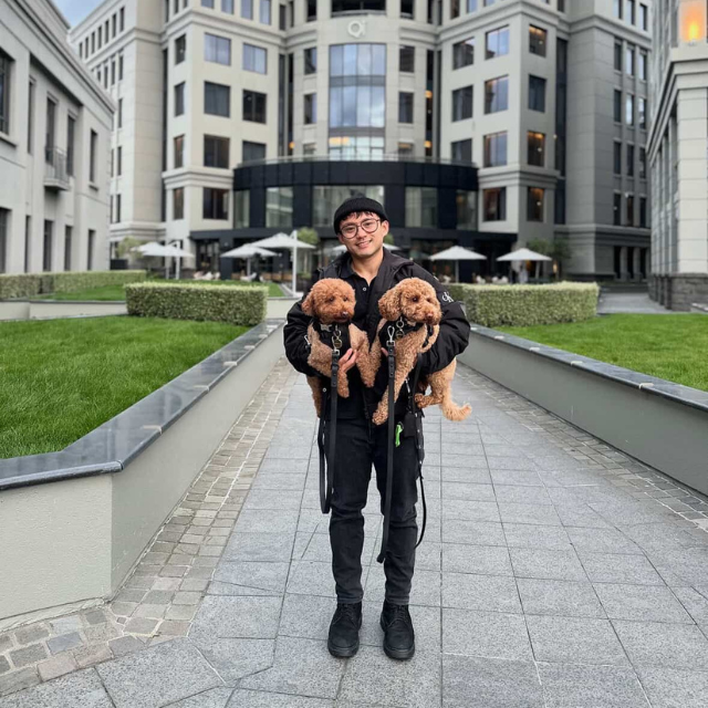 Dog Harness | Black