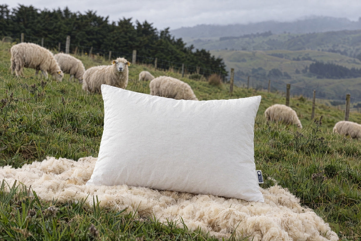 New Zealand Wool Pillow