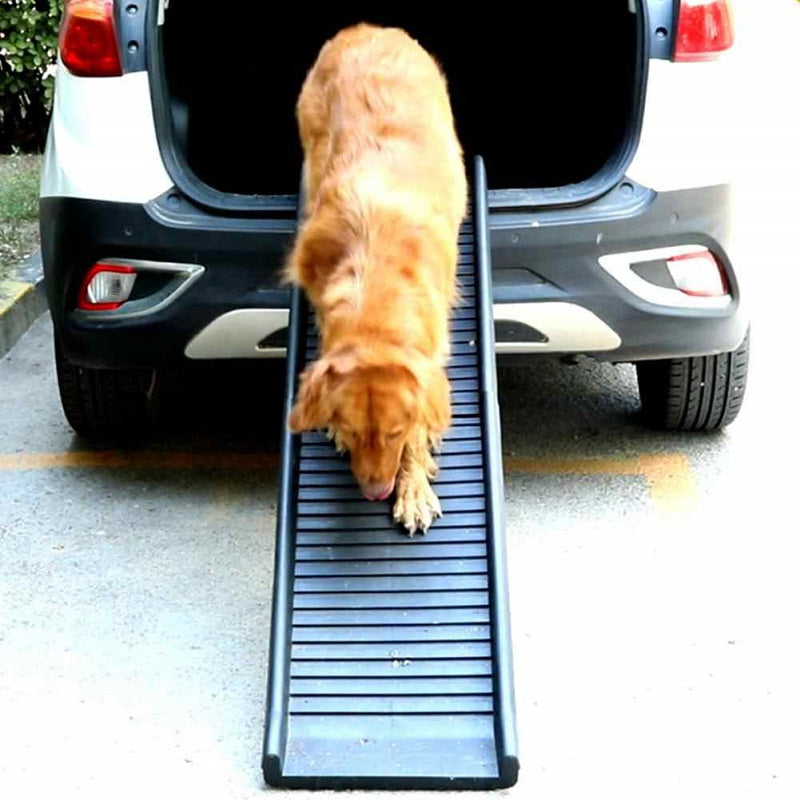 Dog Ramp Pet Dog Ramp