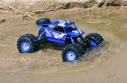 2.4G 4WD Amphibious Crawler RC Buggy Car