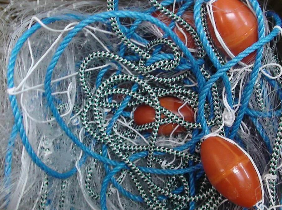 Snapper Multi Purpose Fishing Nets 20m 30m 40m 60m long