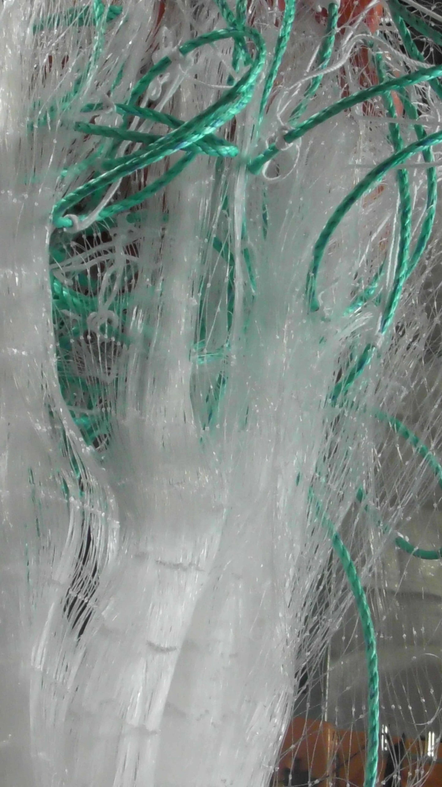 Mullet Nets Mono  20m 30m 40m 50m 60m 100m 90mm & 100mm