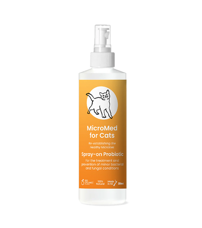 MicroMed for Cats Acute Care