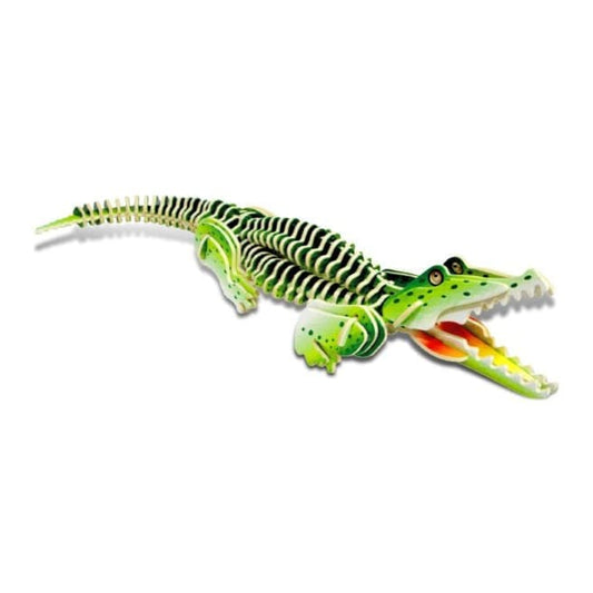Alligator (illuminated)