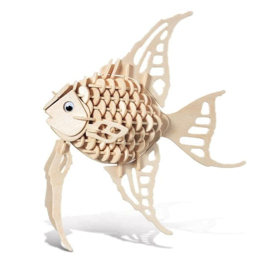 Angel Fish