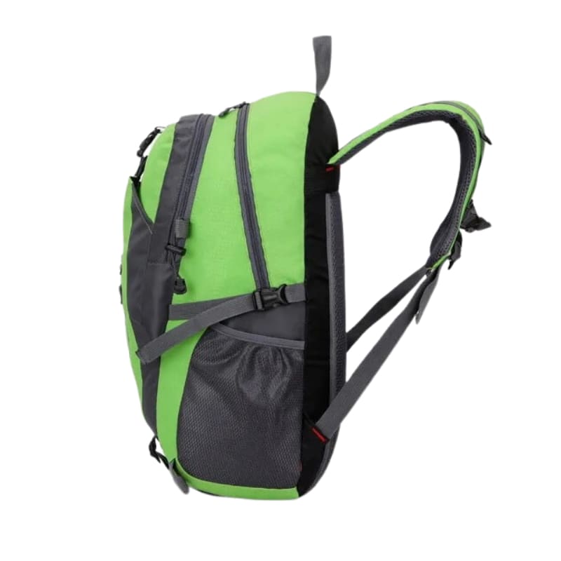 Backpack (Green & Black)