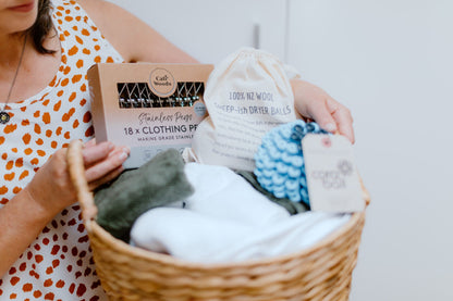 Stainless Clothing Pegs