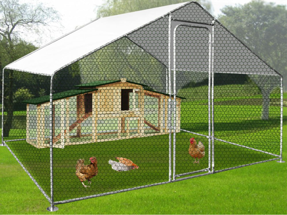Outdoor Chicken coop 3Mx2M