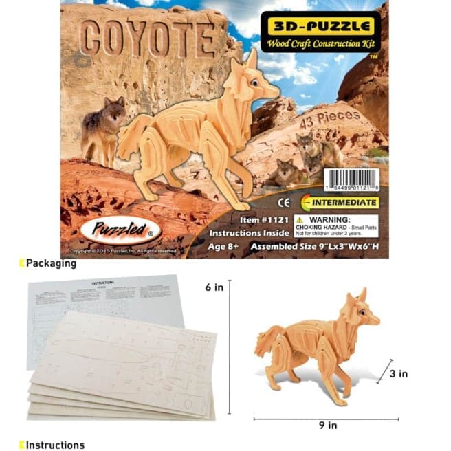 Coyote