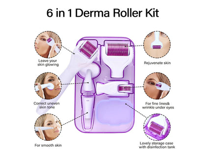 6 in 1 DRS Derma roller