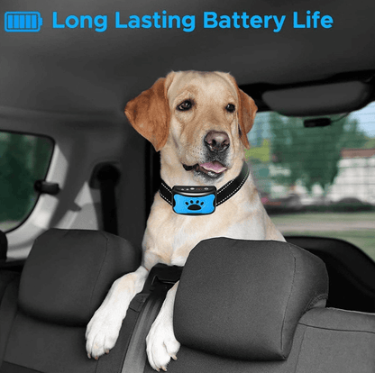 Dog Anti Barking Collar Beeping Chargeable Dog Training Device