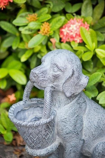 Dog Planter at online8 furniture store Auckland