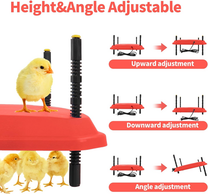 Chick Brooder Heating Plate Warmer,Chicken Coop Heater