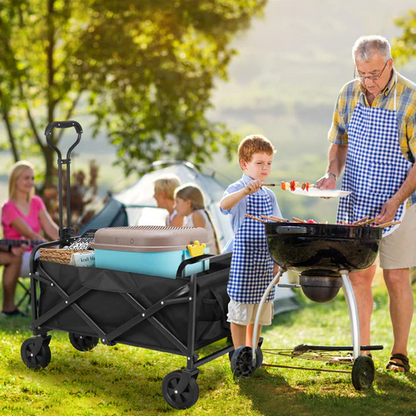 Camping Trolley Cart Wagon Cart Picnic Beach Trolley