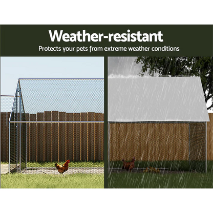 Outdoor Chicken Coop