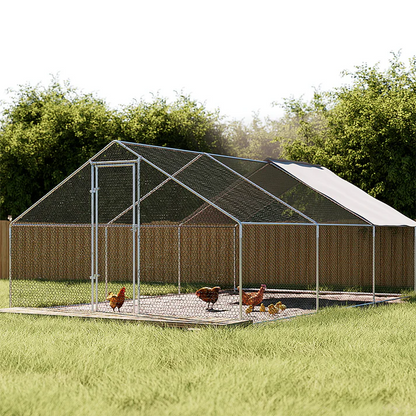 Outdoor Chicken Coop