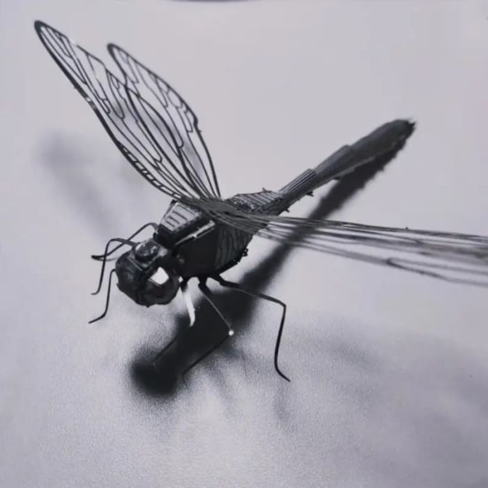 Dragonfly