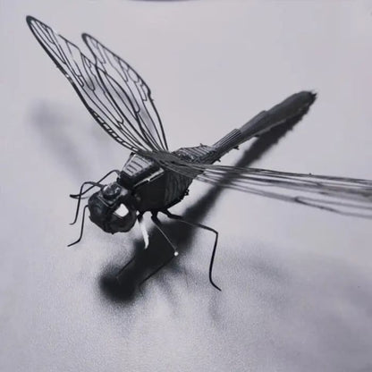 Dragonfly