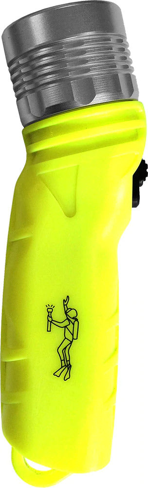 Ecomomy Dive Light