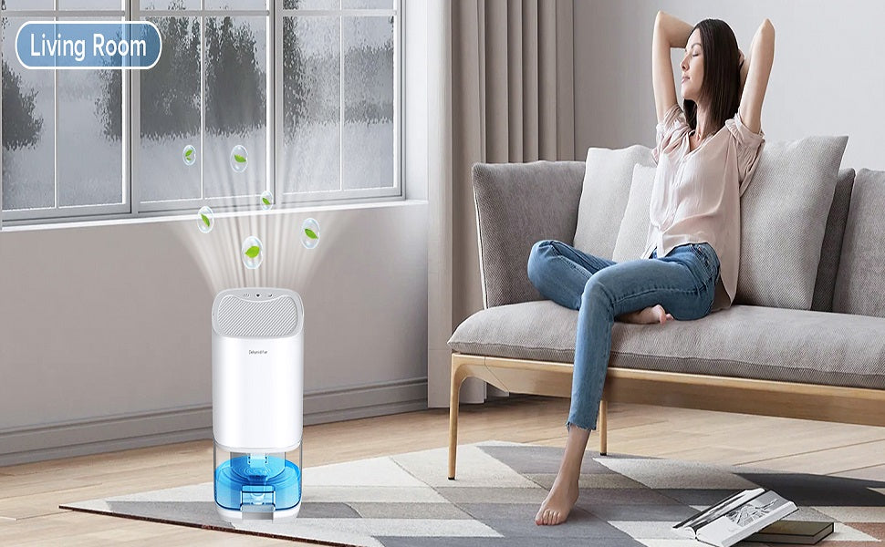 Mini Dehumidifier Portable