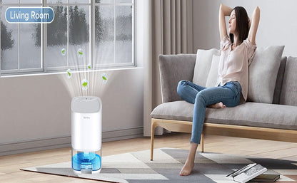 Mini Dehumidifier Portable