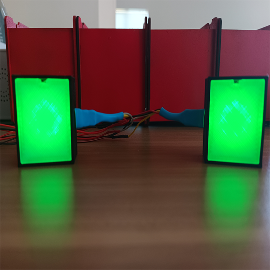 RaceCraftsNZ LED Flags Module, 8LEDS, Programmable, 2 Sides