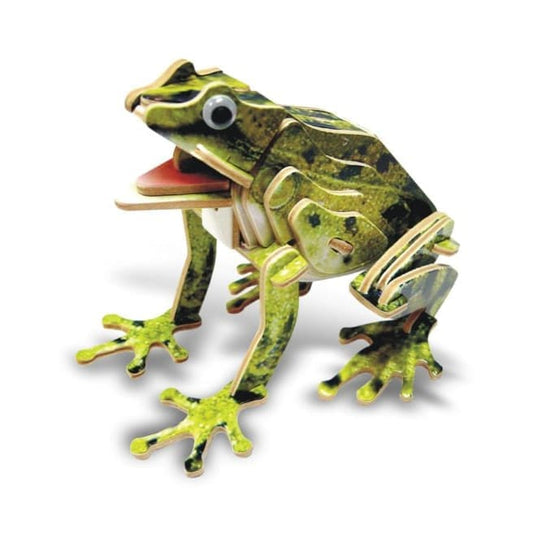 Frog (illuminated)