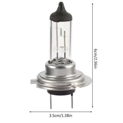 H7 12V Halogen Headlight Bulb (Pack of 2)