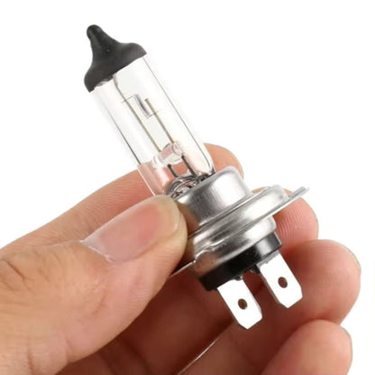 H7 12V Halogen Headlight Bulb (Pack of 2)