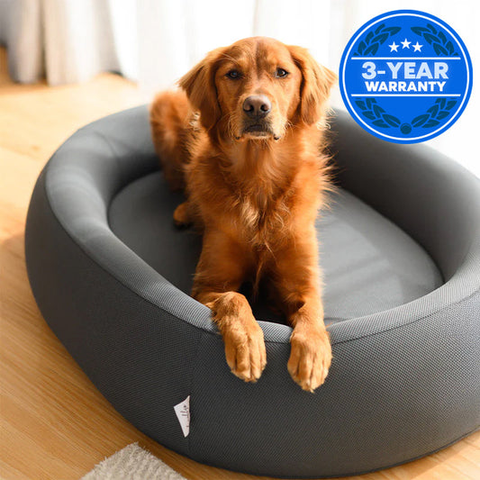 Brooklyn® Cooling Nest Dog Bed