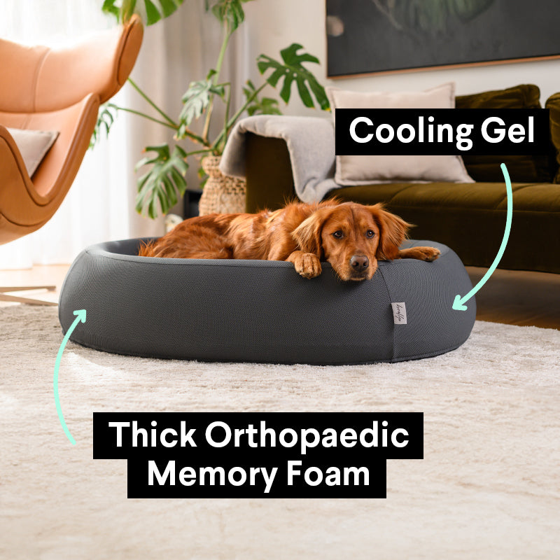 Brooklyn® Cooling Nest Dog Bed